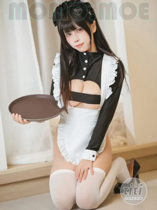 三無人型 – NO.008 高叉女仆 [42P-289MB]-丽丝屋