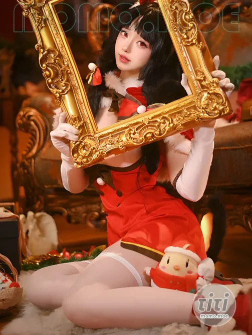 前野太太 – NO.001 大潮圣诞 [29P-249M]-丽丝屋