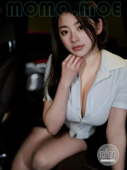 奶宝妹纸 – NO.037 随车小秘书 [27P-63.8MB]-丽丝屋