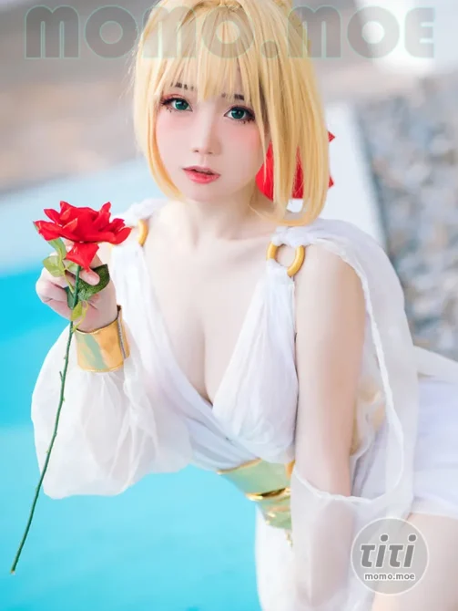 焖焖碳 – NO.045 FGO 尼禄 礼服 [27P-270M]-丽丝屋