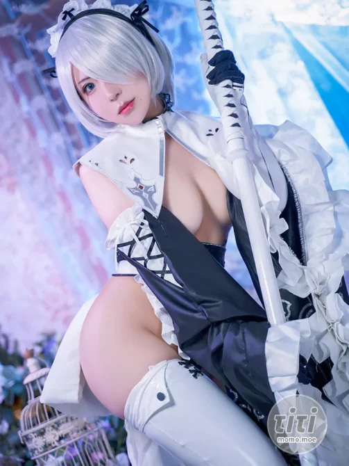 虎森森 – NO.04 2B女仆 [15P-78MB]-丽丝屋